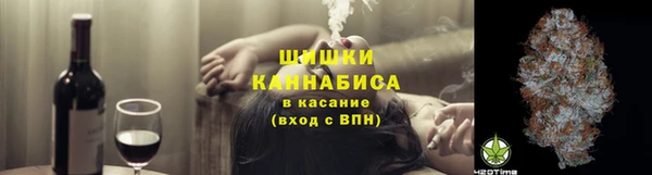 амф Алексин