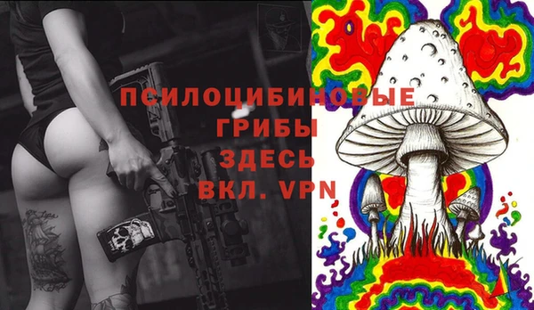 дмт Алзамай