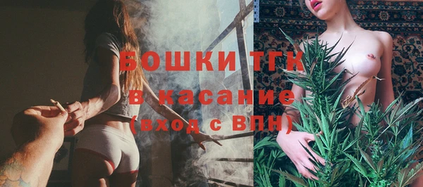 молекула духа Сосновоборск