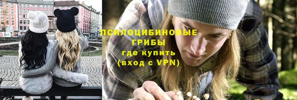 амф Алексин
