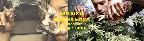 дмт Алзамай
