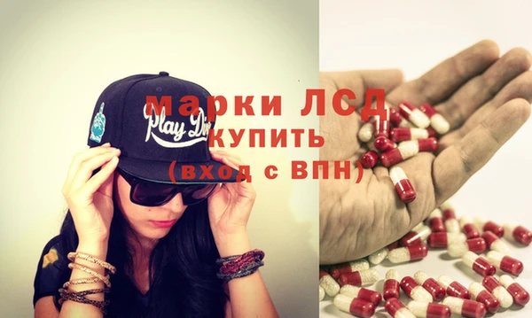 дмт Алзамай